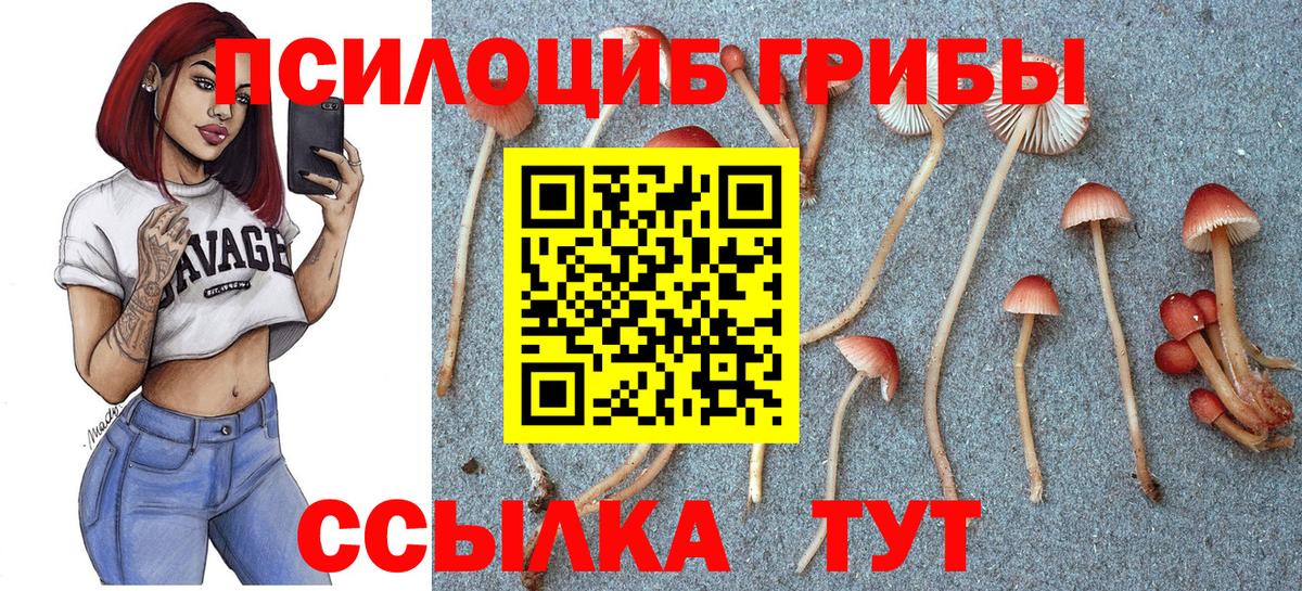 Псилоцибиновые грибы прущие грибы  Галлюциногенные грибы Psilocybine cubensis  Вход с VPN  закладка  Сургут 