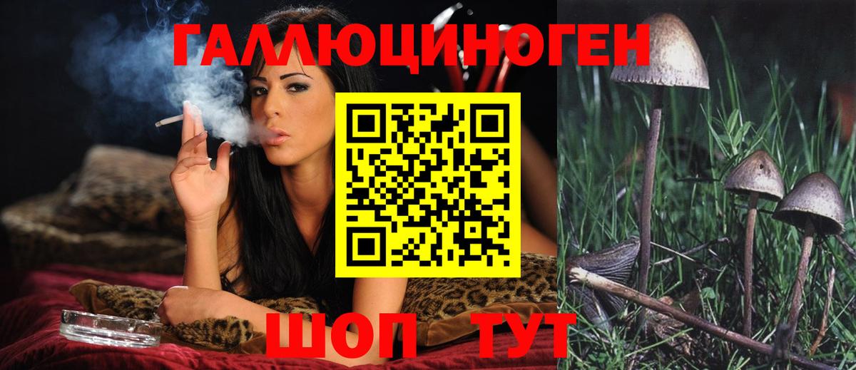 Псилоцибиновые грибы прущие грибы Сургут